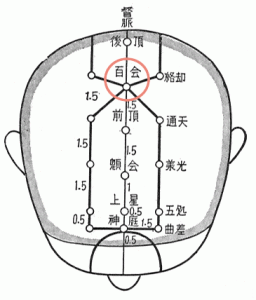 膀胱経の頭頂部