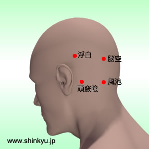 左後頭部の経穴（ツボ）